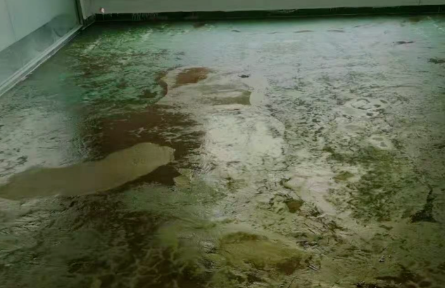 1758936951150971.png image.png